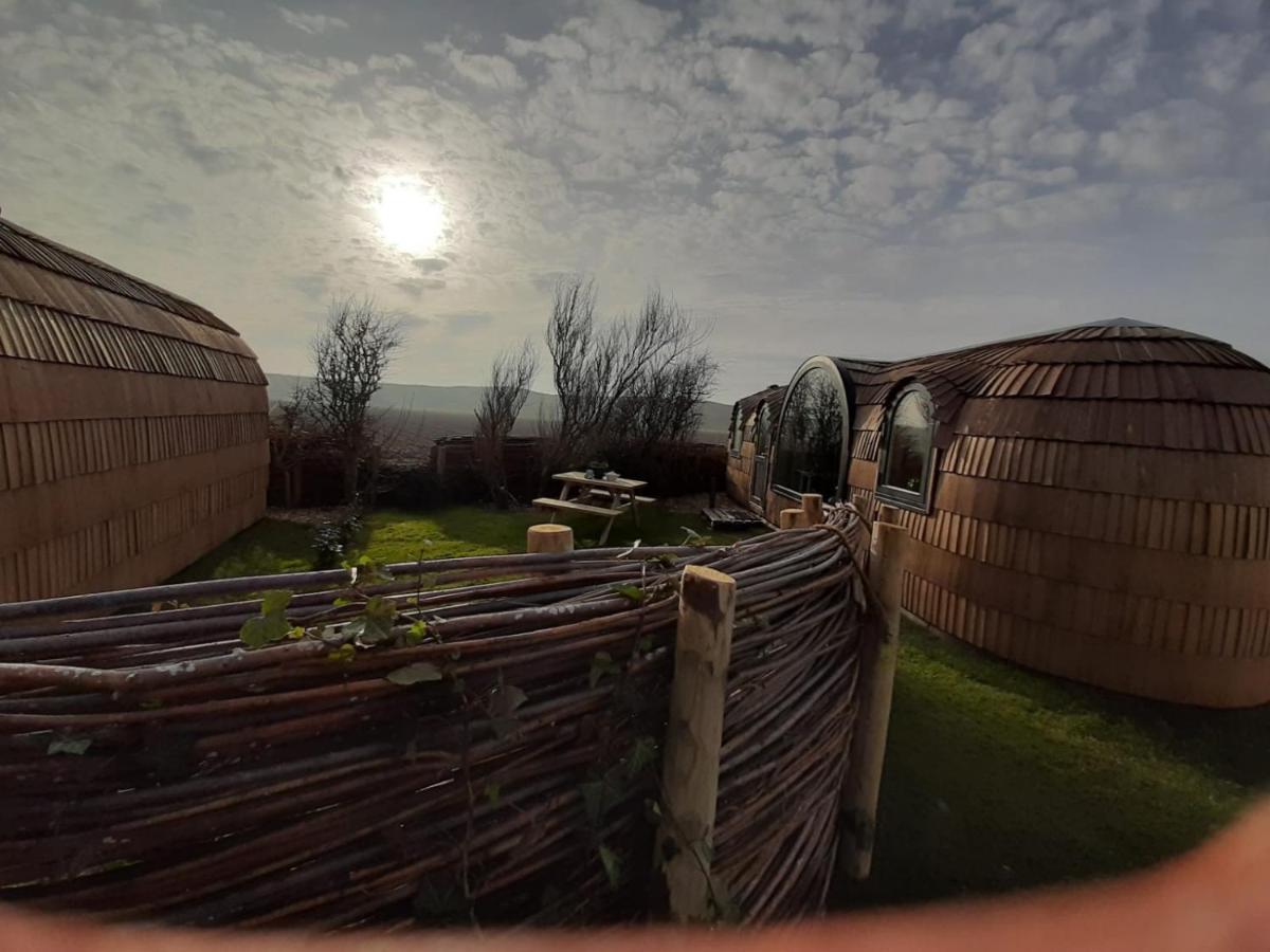 De Hut, In Natuurgebied En Vlakbij Het Campsite Callantsoog